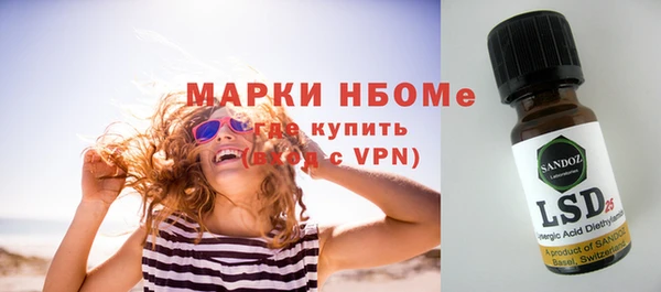 шишки Вязьма