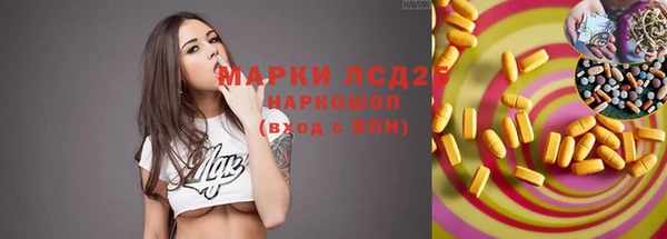 шишки Вязьма