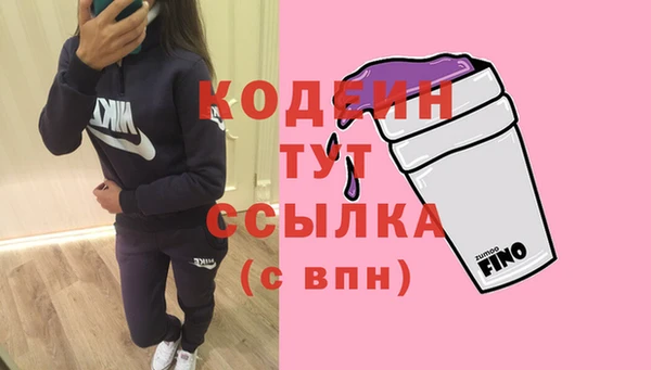 соль ск Вяземский