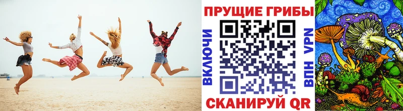 Купить  Любим  Псилоцибиновые грибы Cubensis 
